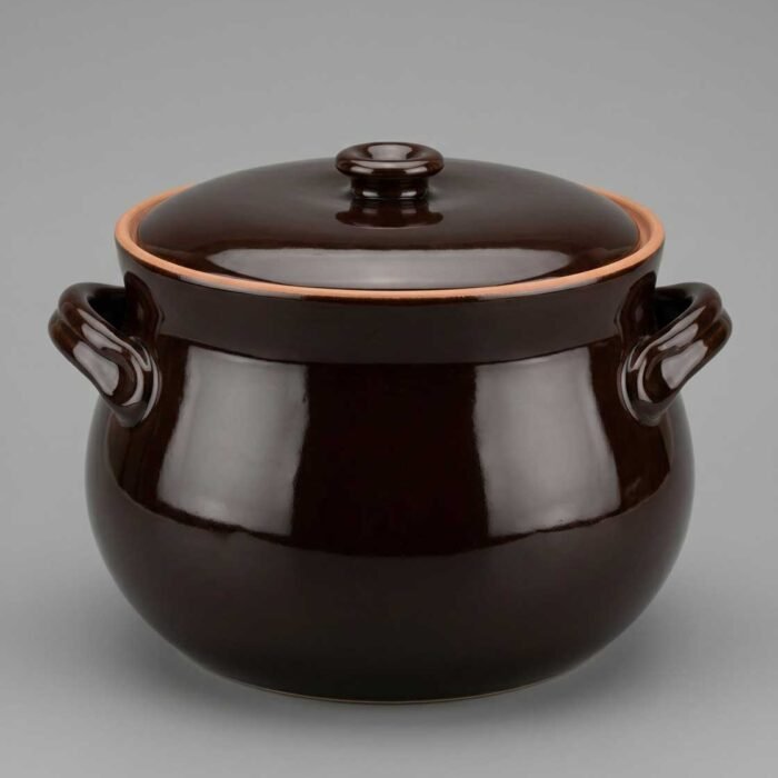 Pentola bombata con coperchio in terracotta 2 manici